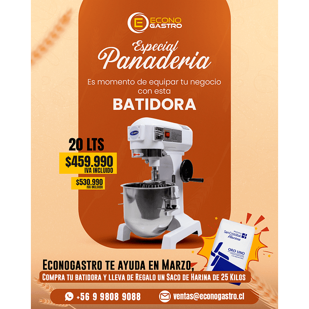 Batidora 20 Litros Ecobeck