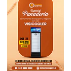 Visicooler 260 Litros Bozzo 1