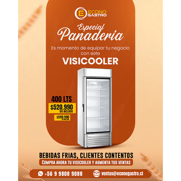 Visicooler 400 Litros Frio Forzado Bozzo