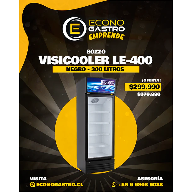 Visicooler 300 Lts Bozzo