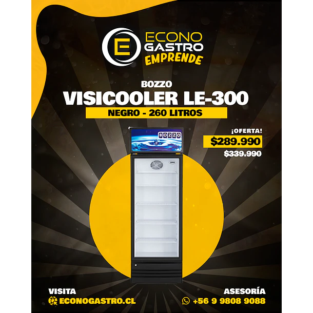 Visicooler 260 Litros Bozzo