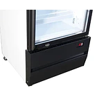 Visicooler 370 Lts Frio Forzado Maigas 1