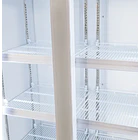 Visicooler 600Lts.2 Puertas Maigas 3