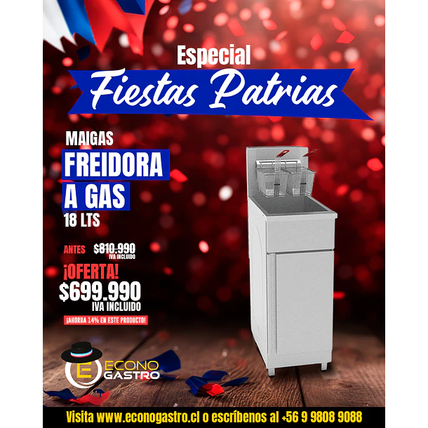 Freidora a Gas 18 Lts Maigas