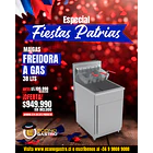 Freidora de 38Lts Maigas 1