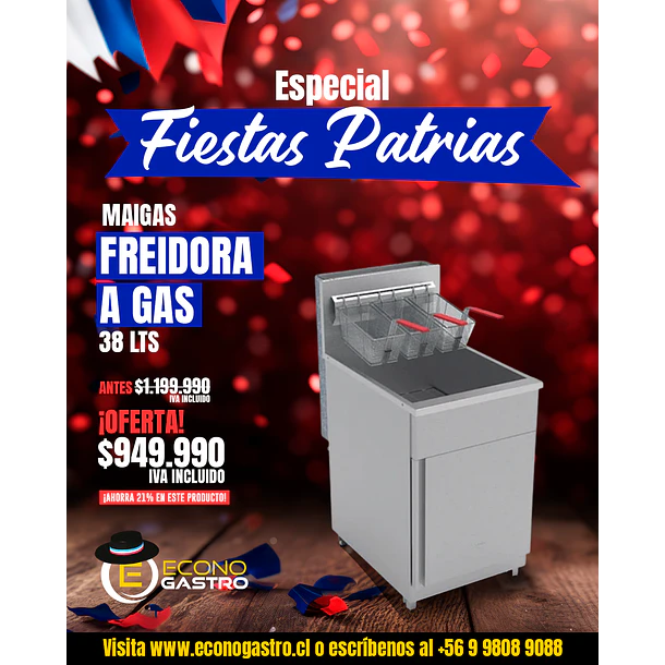 Freidora de 38Lts Maigas