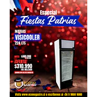 Visicooler 224 Lts. 520x610x1747 Mm. 1