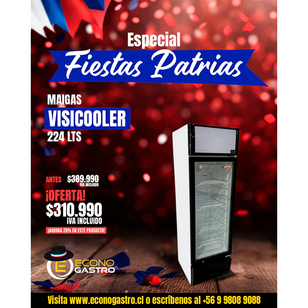Visicooler 224 Lts. 520x610x1747 Mm.