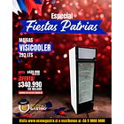 Visicooler 292 Lts. 595x610x1849 Mm. 1