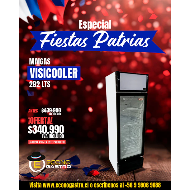 Visicooler 292 Lts. 595x610x1849 Mm.