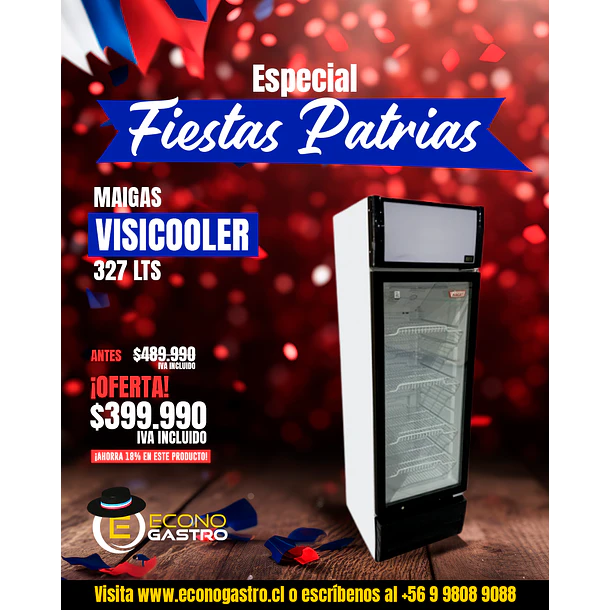 Visicooler 327 Lts. 595x610x2005 Mm.