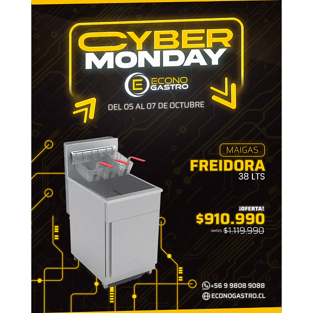 Freidora de 38Lts Maigas