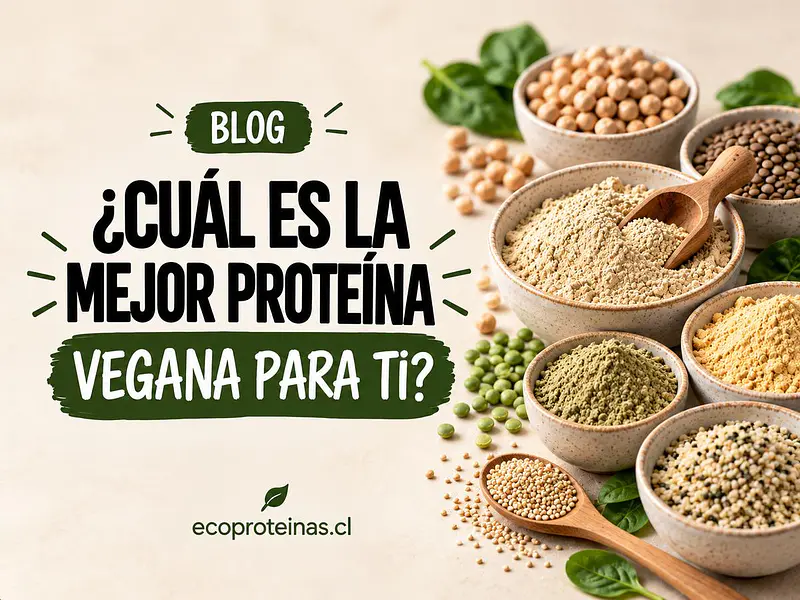 ¿Cuál es la mejor proteína vegana para ti?