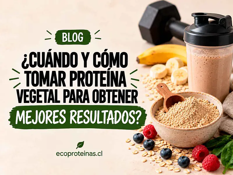 ¿Cuándo y cómo tomar proteína vegetal para obtener mejores resultados?