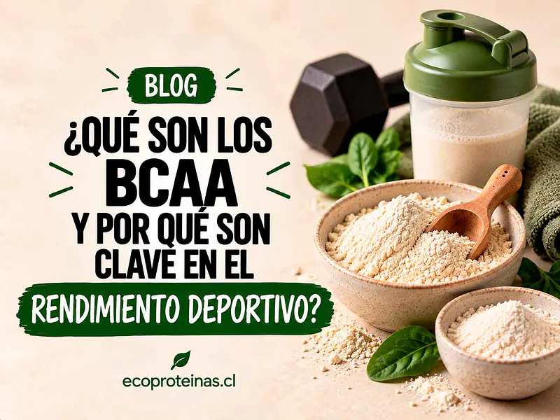 ¿Qué son los BCAA y por qué son clave en el rendimiento deportivo?