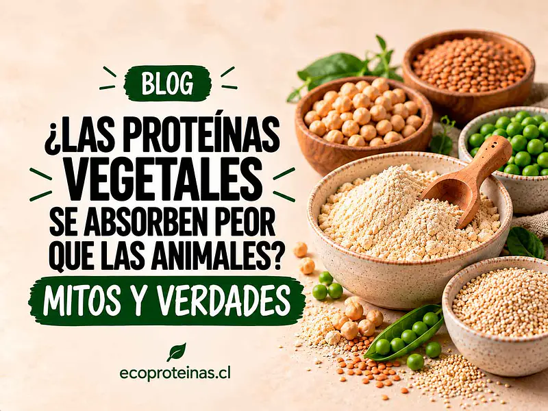 ¿Las proteínas vegetales se absorben peor que las animales? Mitos y verdades