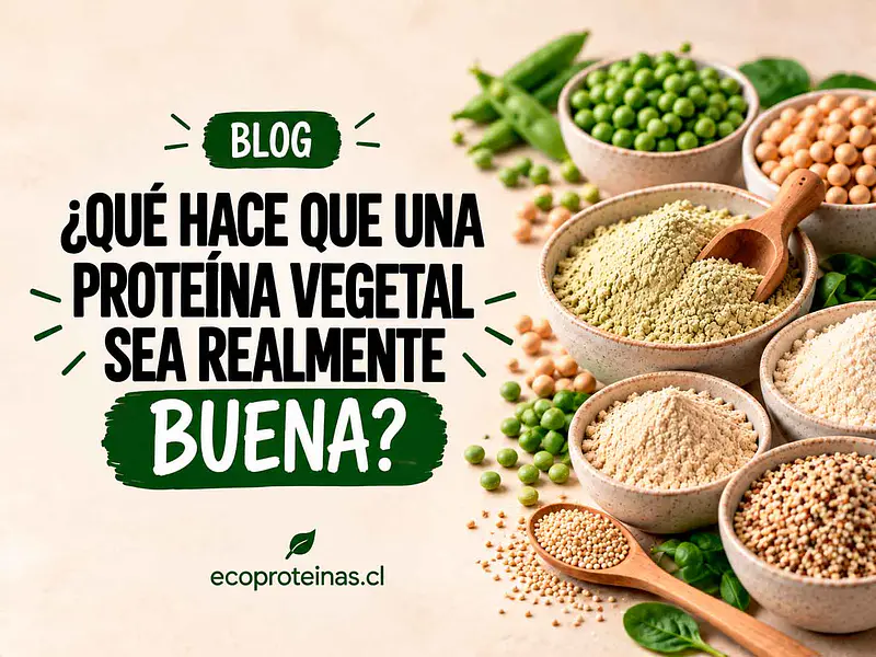 ¿Qué hace que una proteína vegetal sea realmente buena?