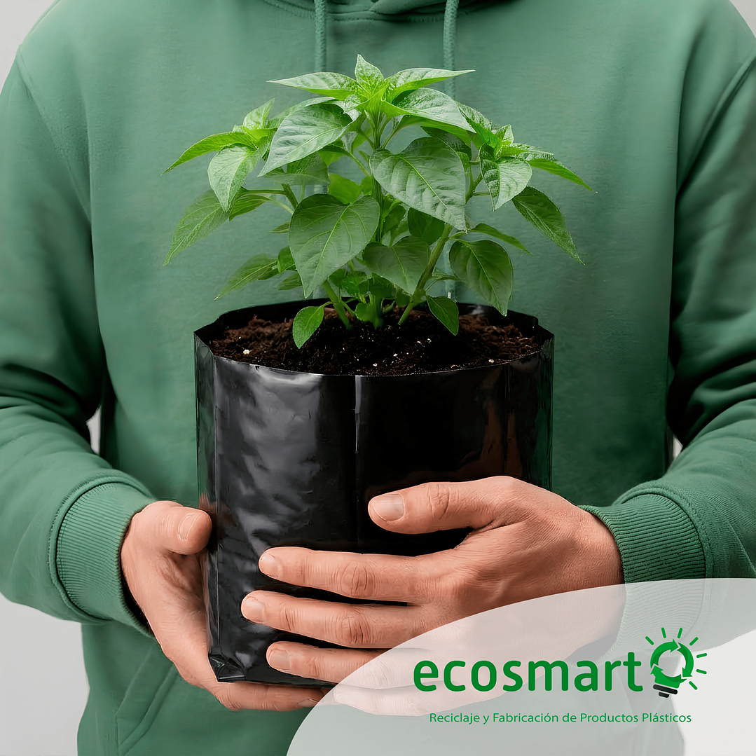 Bolsa para Planta - 20cmx20cm 5