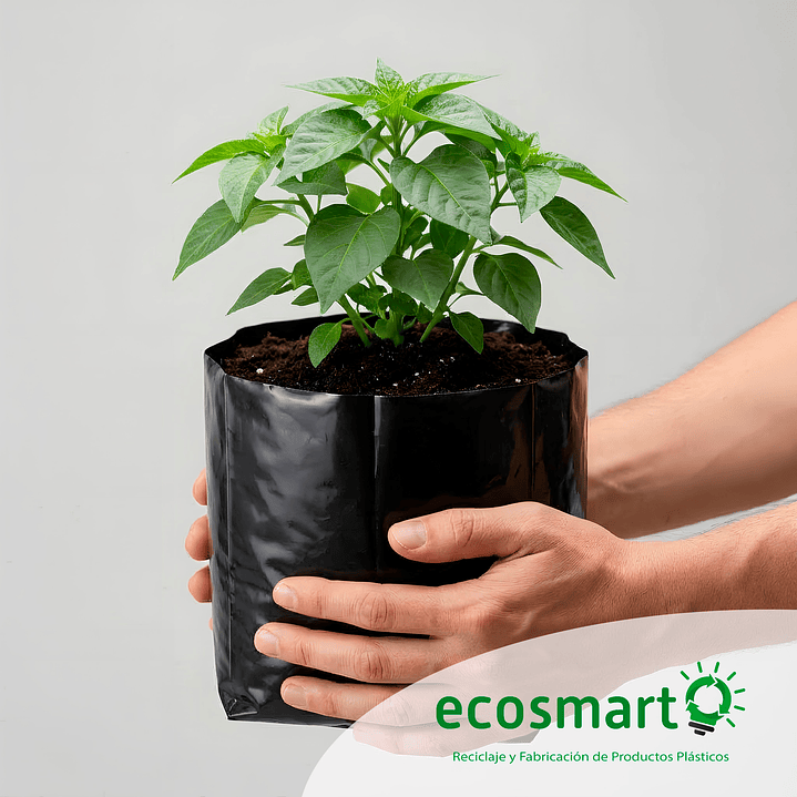 Bolsa para Planta - 20cmx20cm 6