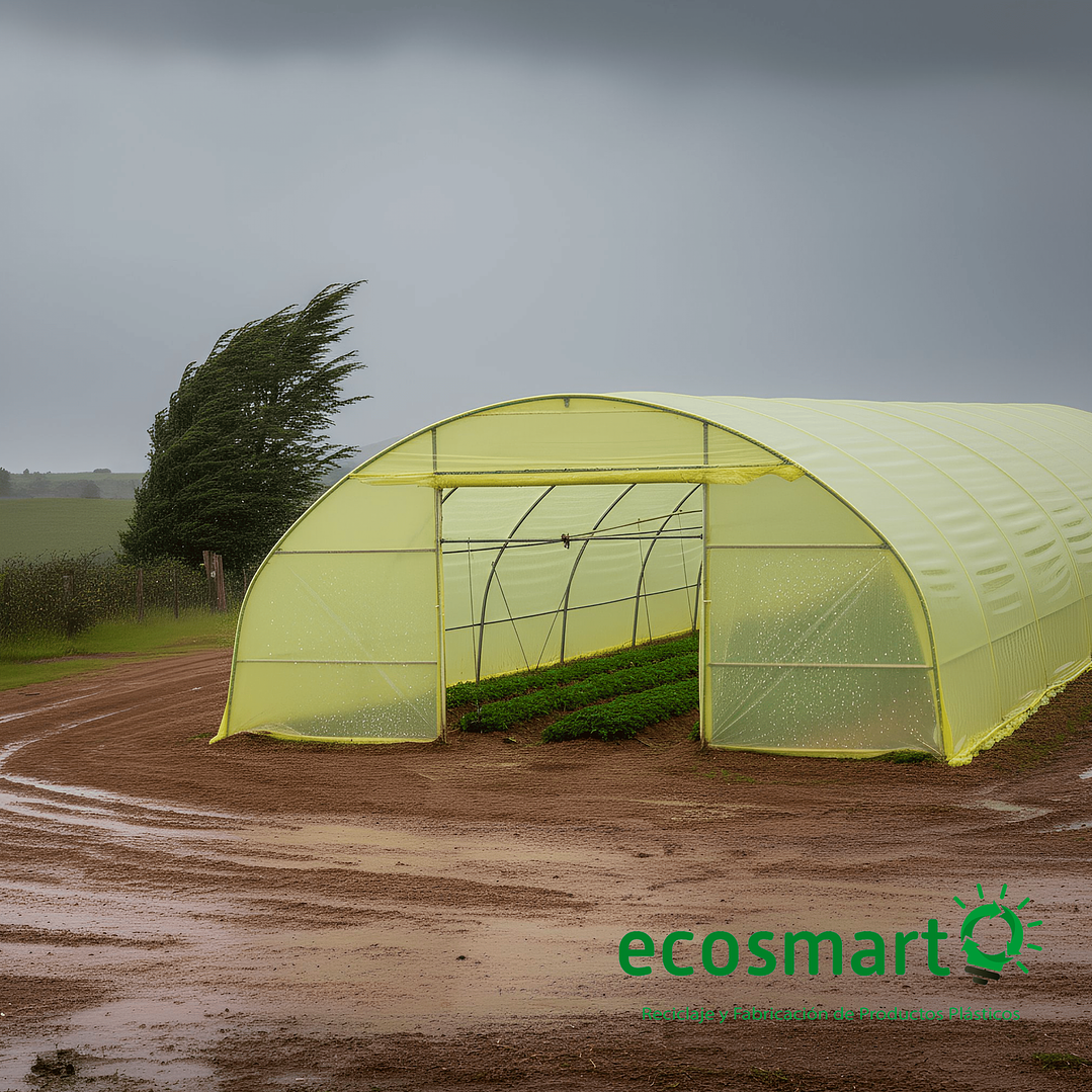 Folio de Plástico de Polietileno para Invernadero - 4mt x 110 mt 3