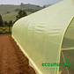 Folio de Plástico de Polietileno para Invernadero - 4mt x 110 mt - thumbnail 5