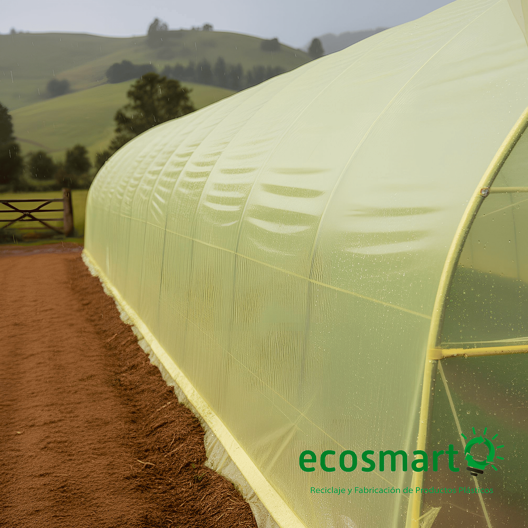 Folio de Plástico de Polietileno para Invernadero - 4mt x 50mt 1