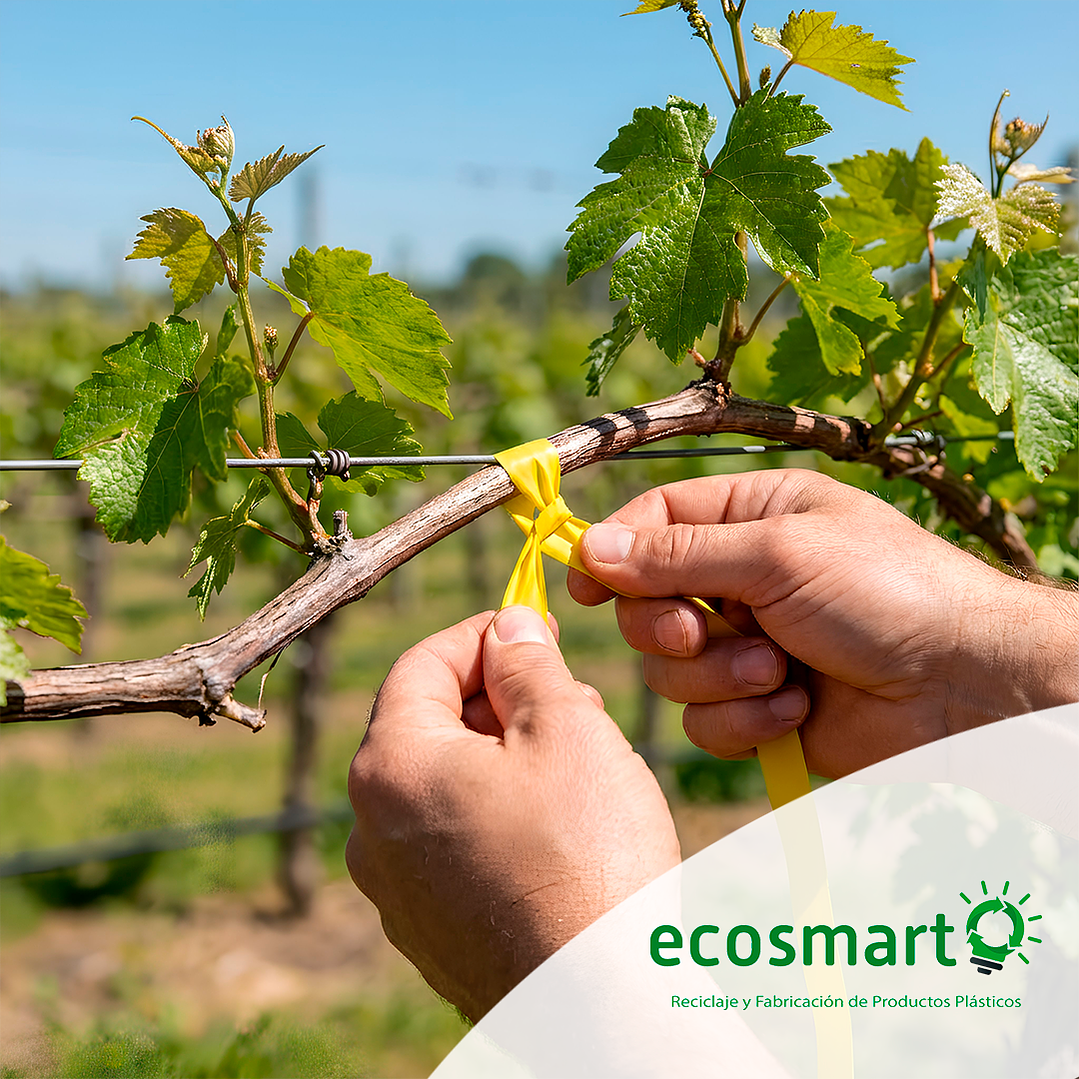 Cinta de Amarre para Parra o Viña - 420 mt - Color Amarilla 3