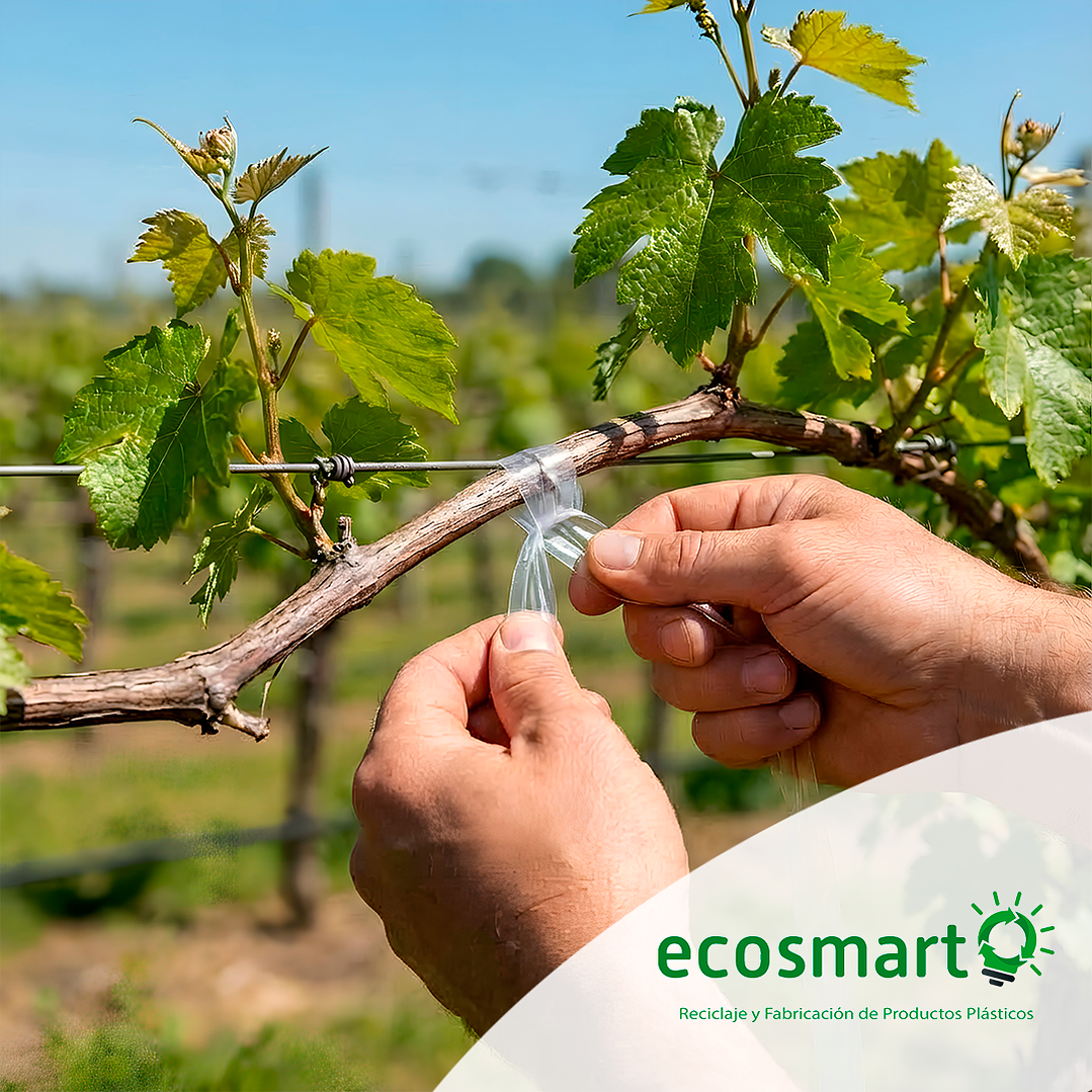 Cinta de Amarre para Parra o Viña - 420 mt - Color Transparente 3