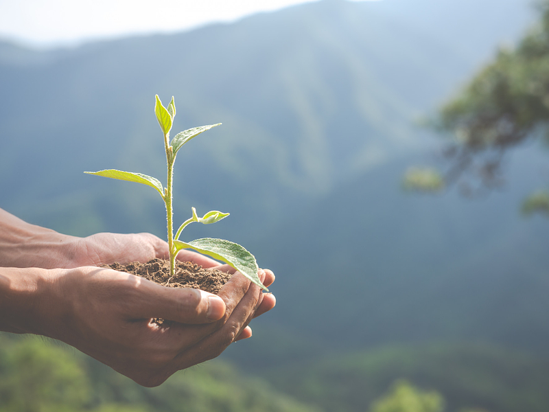 Pequeños cambios, grandes impactos: tips para una vida más ecofriendly