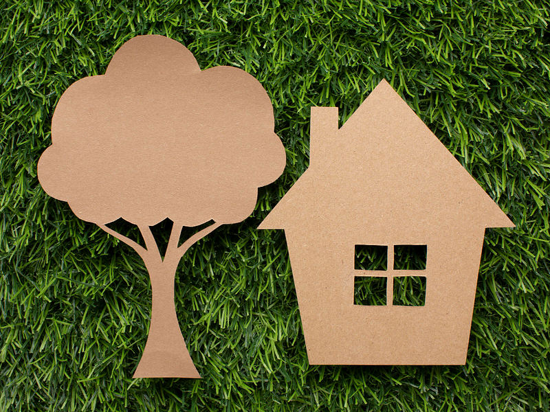 Descubre cómo transformar tu hogar en un espacio ecofriendly