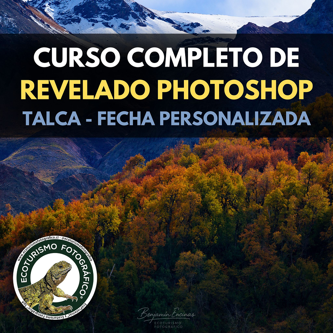 CURSO COMPLETO DE REVELADO NATURALISTA EN TALCA - FECHA PERSONALIZADA 1