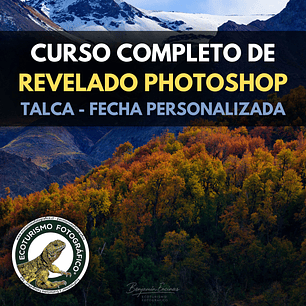 CURSO COMPLETO DE REVELADO NATURALISTA EN TALCA - FECHA PERSONALIZADA