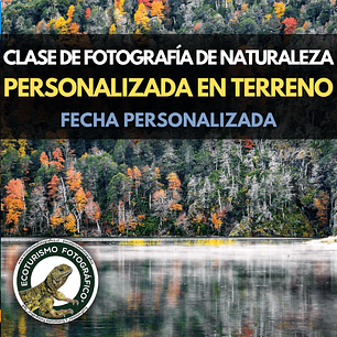 CLASE DE FOTOGRAFÍA DE NATURALEZA PERSONALIZADA EN TERRENO - FECHA PERSONALIZADA