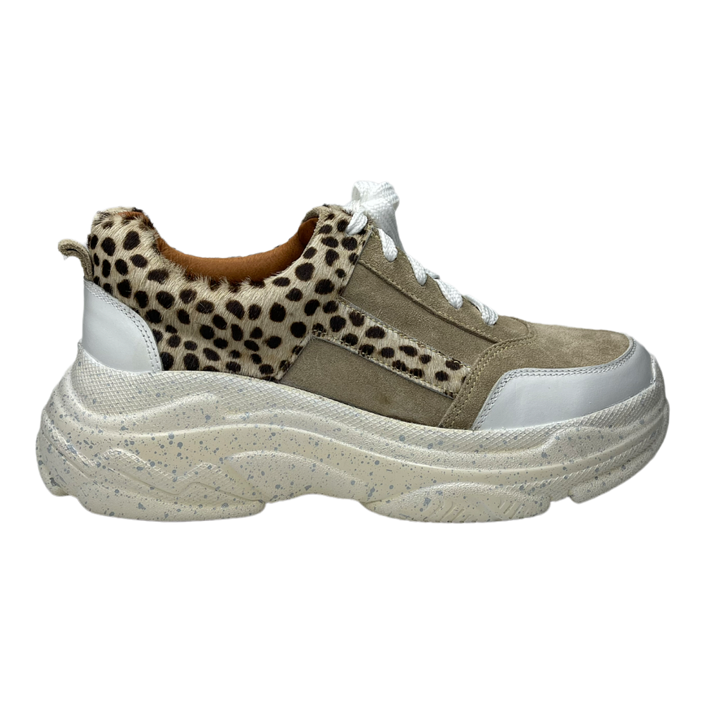 Zapatilla Antonia Arena Dalmata 