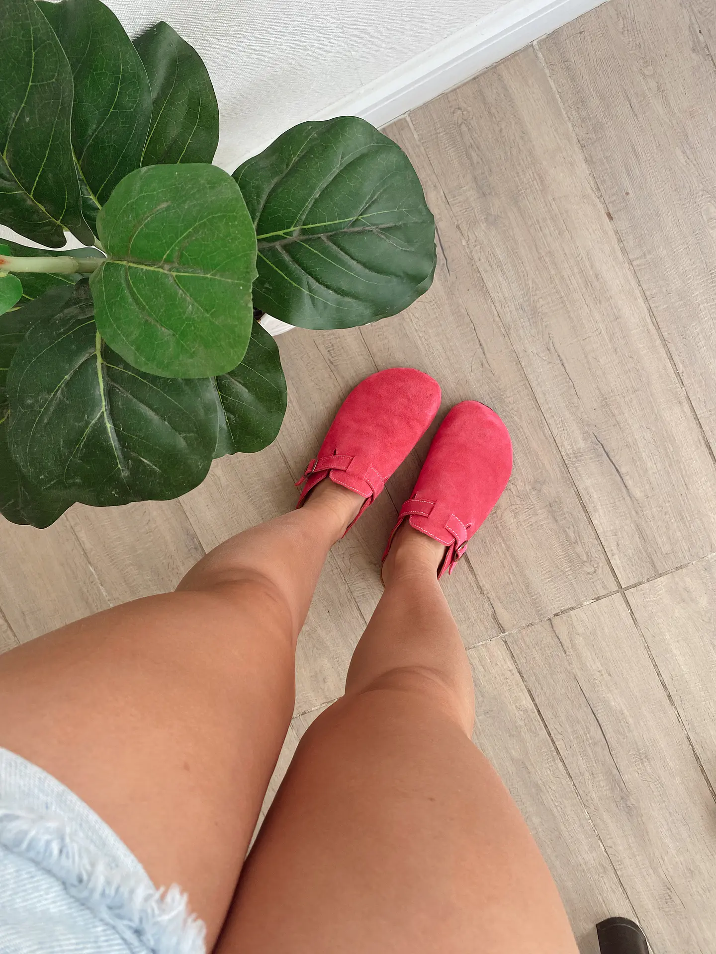 Sueno Fucsia Reno  2