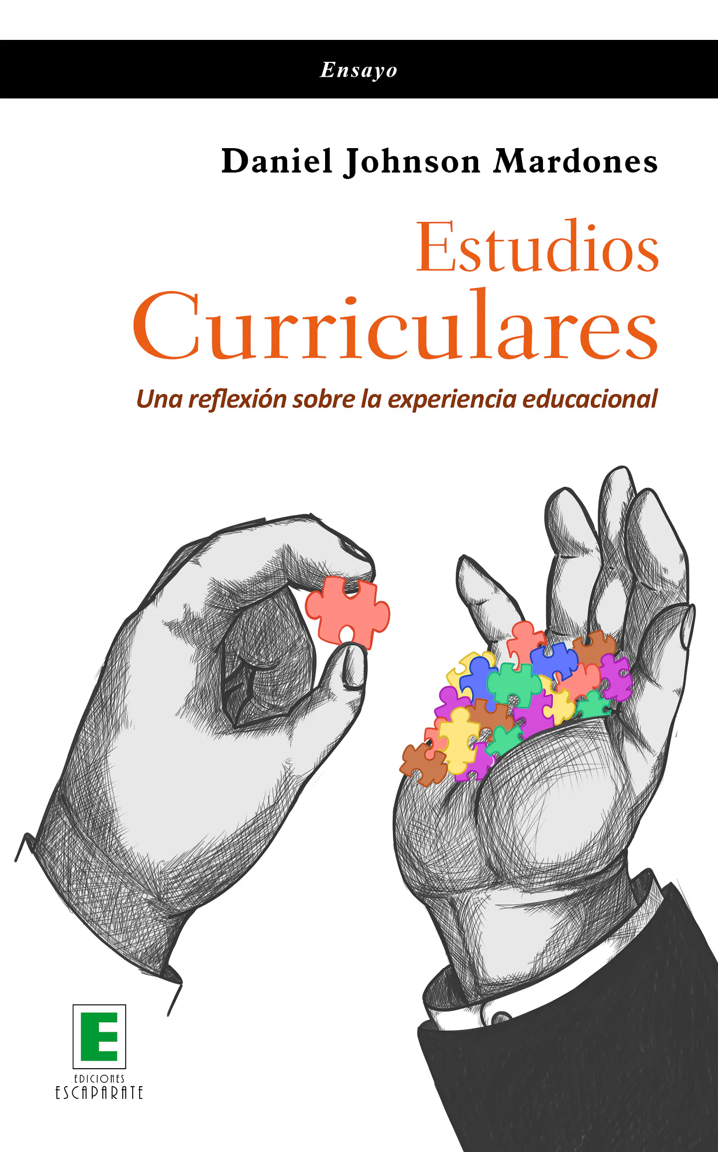 Estudios Curriculares. Una reflexión sobre la experiencia educacional 1