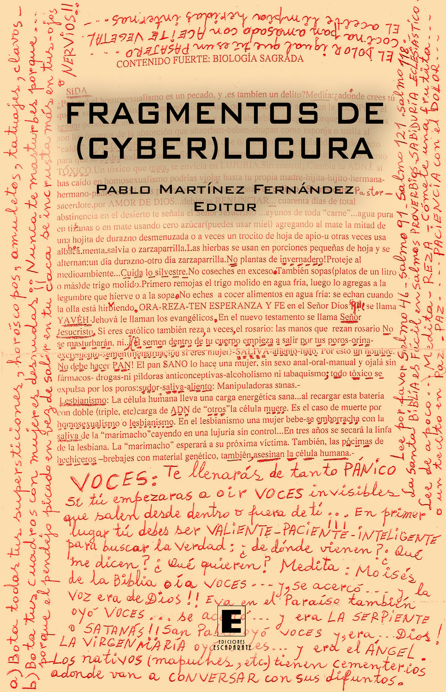 Fragmentos de (cyber) locura 1