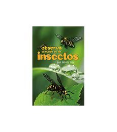 PL- Observa el mundo de los insectos
