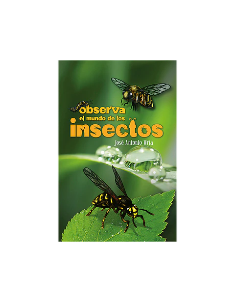 PL- Observa el mundo de los insectos