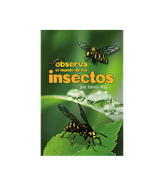 Observa el mundo de los insectos
