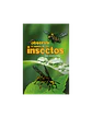 PL- Observa el mundo de los insectos - Miniatura 2