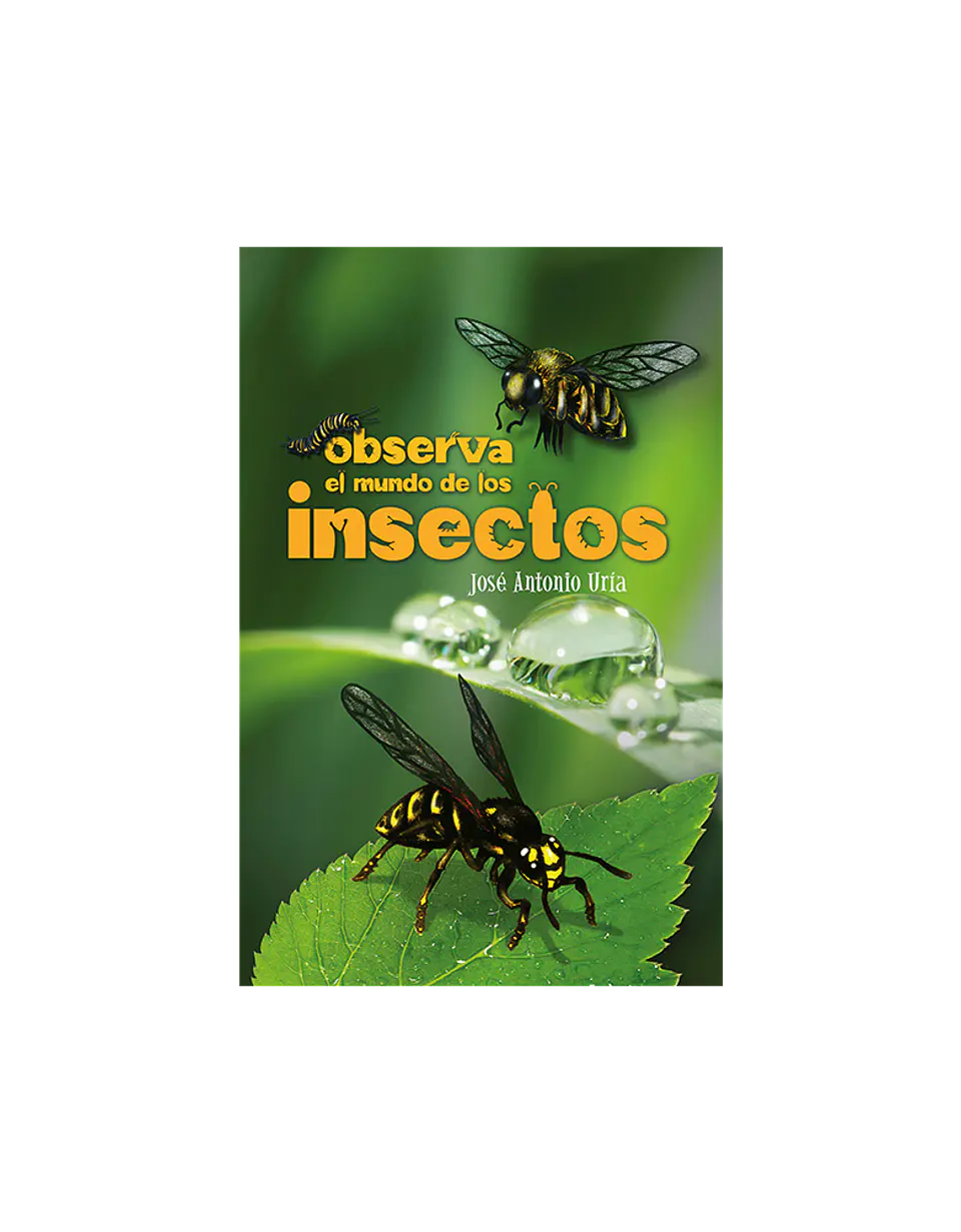 PL- Observa el mundo de los insectos 2