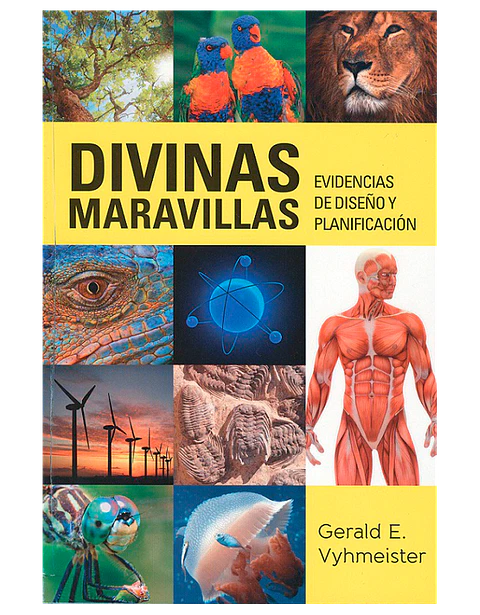 Divinas maravillas