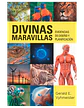Divinas maravillas - Miniatura 2