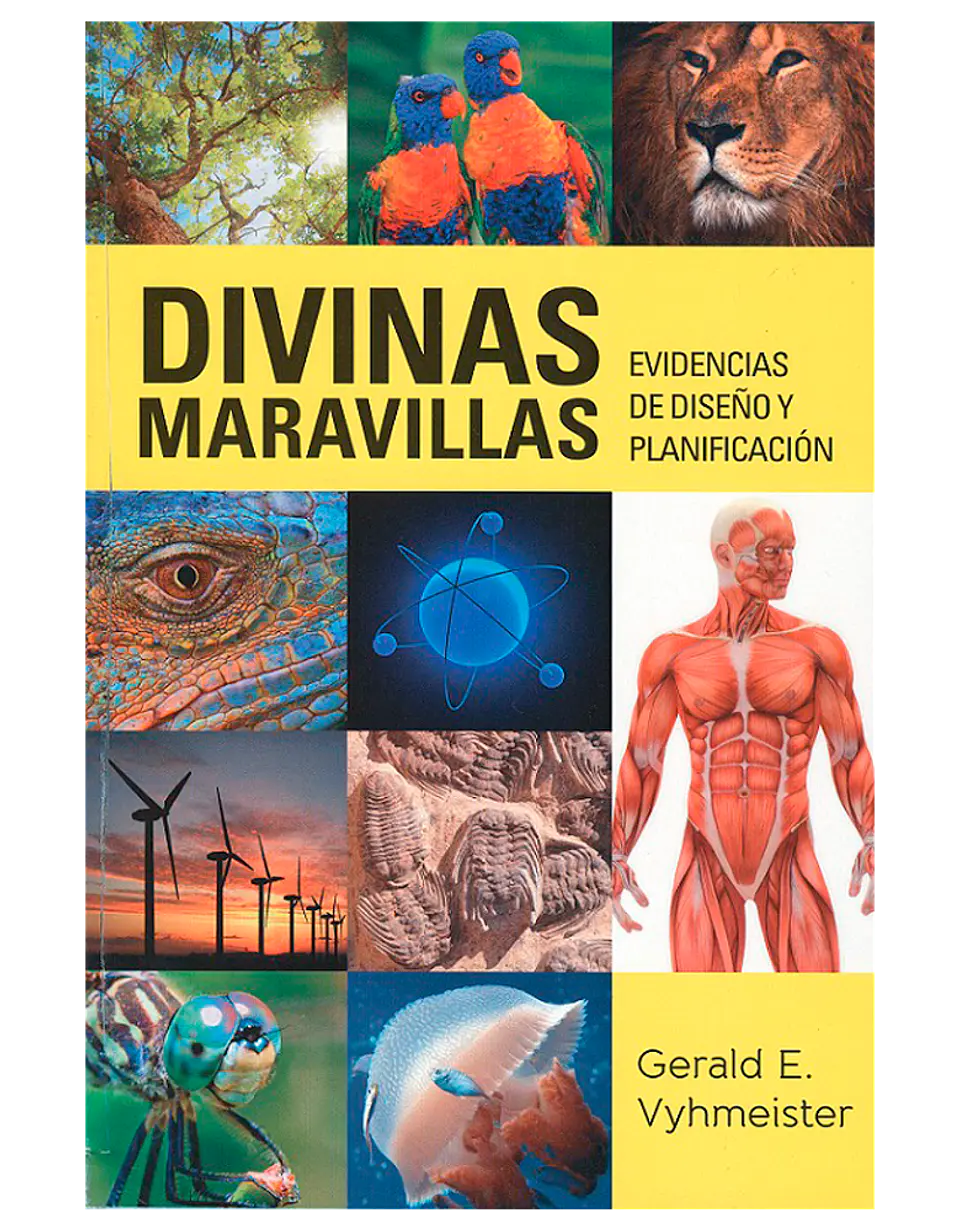 Divinas maravillas 2