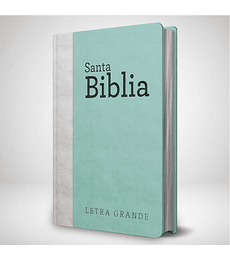 Biblia RVR 95  Letra Grande con himnario- Damas - Verde agua y gris claro