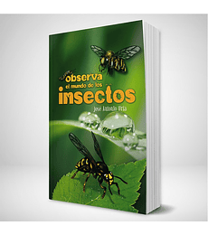 PL- Observa el mundo de los insectos
