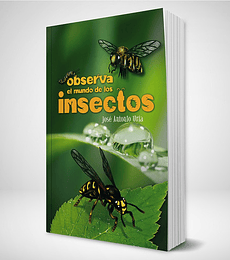 PL- Observa el mundo de los insectos
