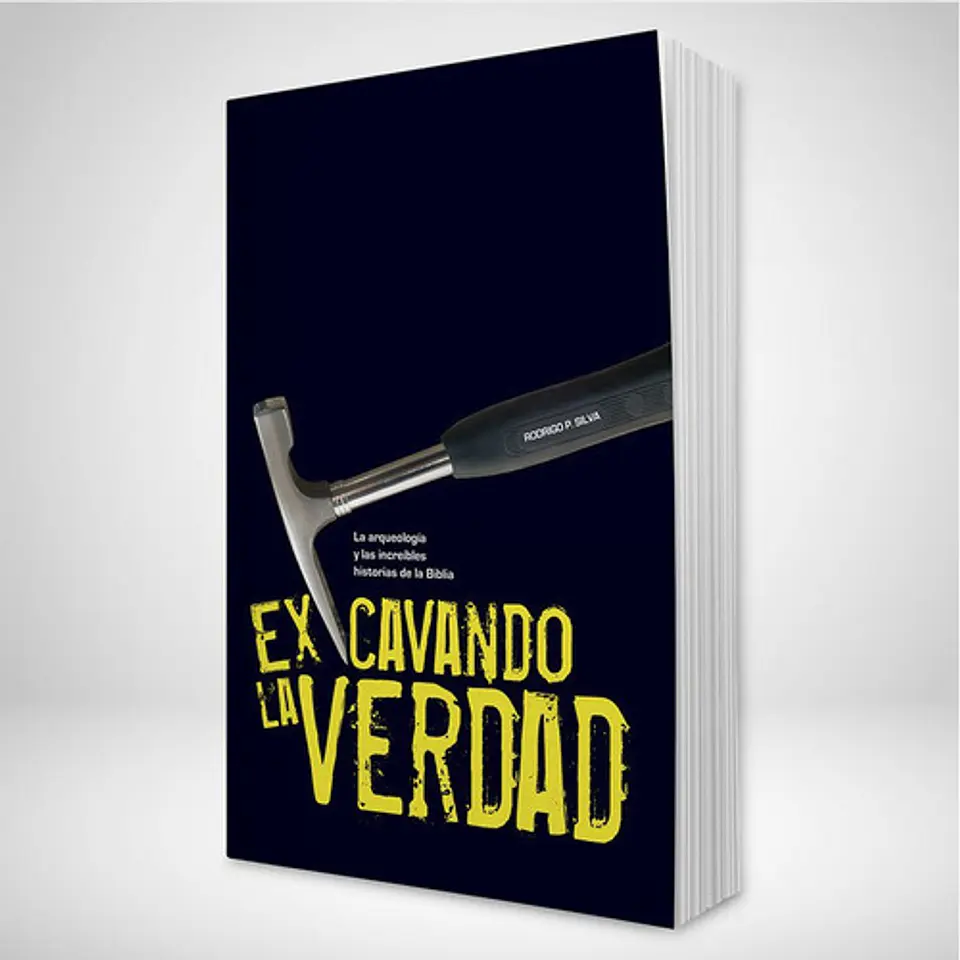Excavando la verdad 1