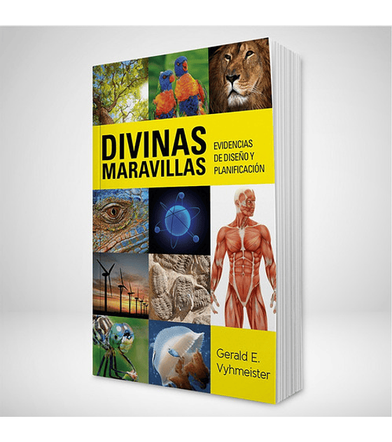 Divinas maravillas